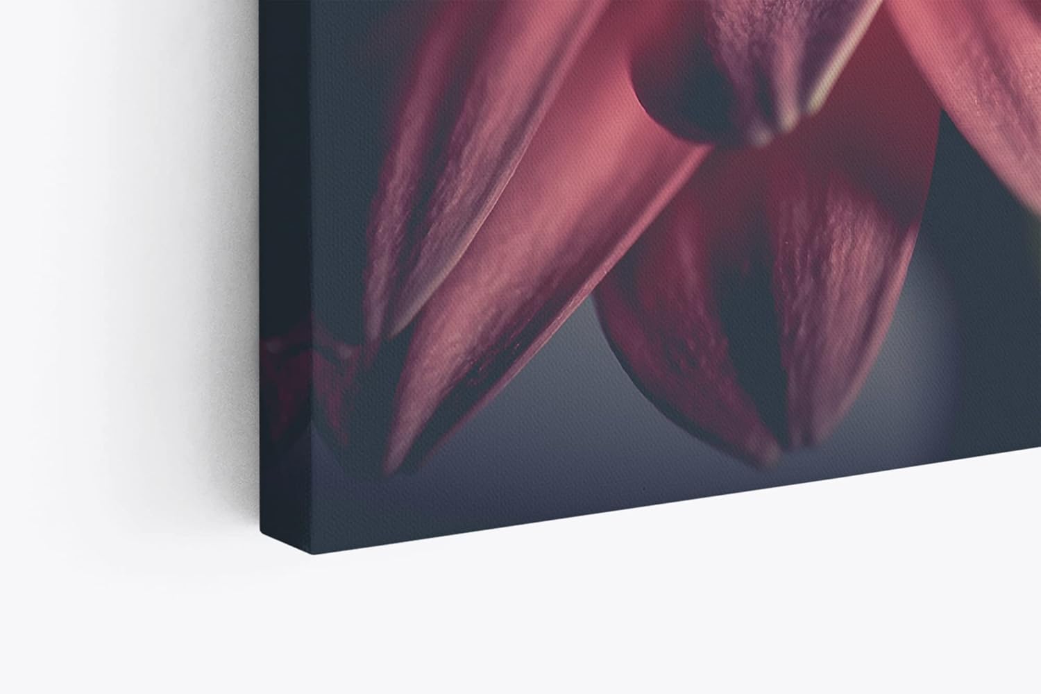 Paul Sinus Wandbild 120x80cm Gerbera Blume Blüte Rosa Nahaufnahme Kunstvoll