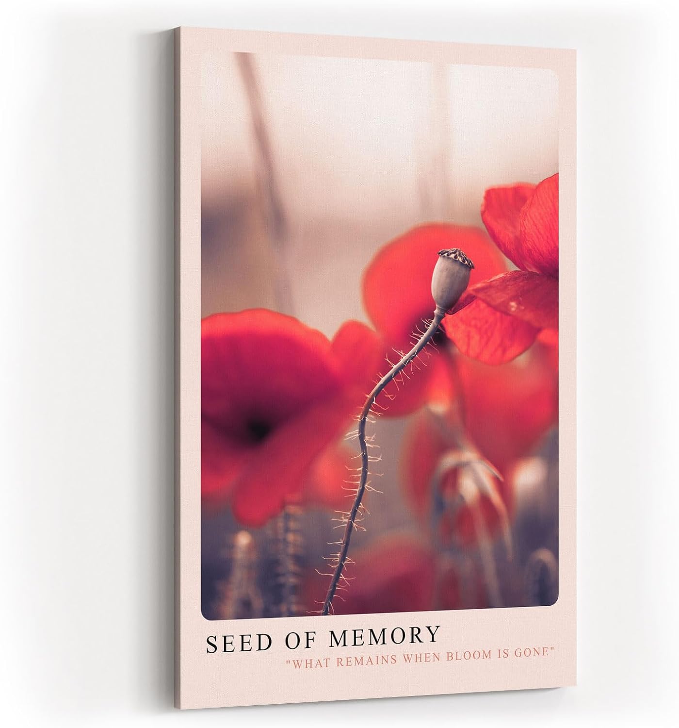 Paul Sinus Kunstdruck 40x60cm Seed of Memory – Symbolische Mohnblüte in poetischer Dämmerung