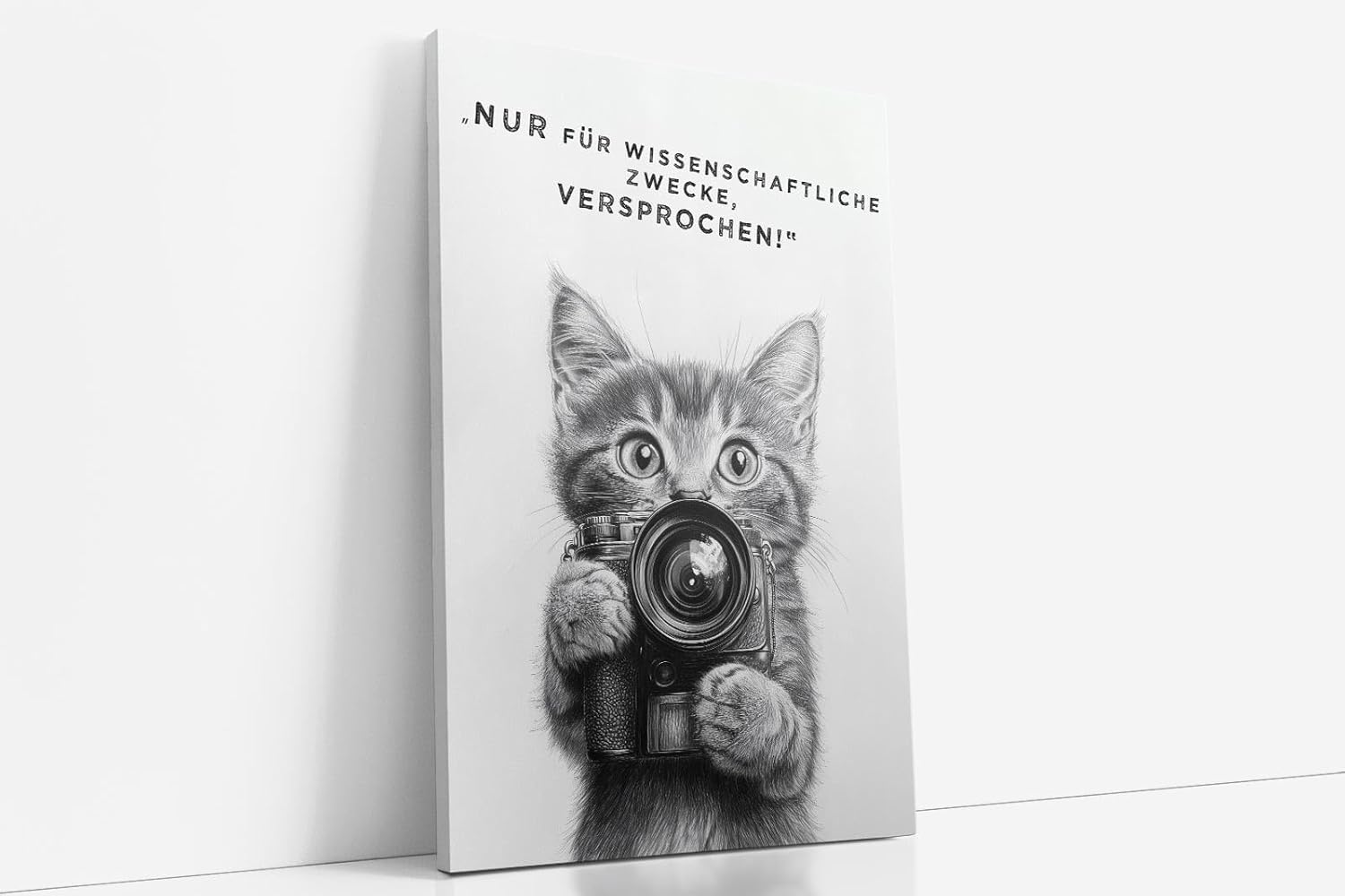 Paul Sinus Poster/Leinwandbild/Rahmenoption Lustiges Katzenbild – Witzige Klo-Deko fürs Gäste-WC – Perfekt für Humorvolle