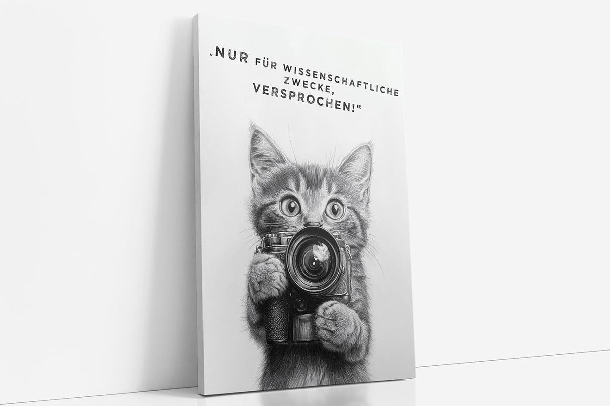 Paul Sinus Poster/Leinwandbild/Rahmenoption Lustiges Katzenbild – Witzige Klo-Deko fürs Gäste-WC – Perfekt für Humorvolle