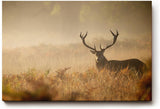 Sinus Art Wandbild 120x80cm Der majestätische Hirsch im Nebel erzeugt eine ruhige kraftvolle Stimmung im Raum