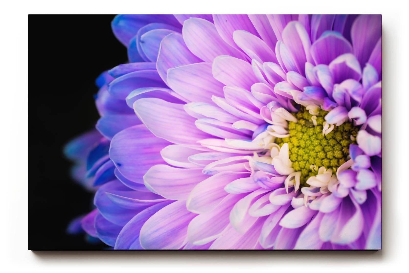 Sinus Art Wandbild 120x80cm Makro einer geöffneten Blüte – fesselnde Struktur mit leuchtendem Zentrum