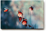 Sinus Art Wandbild 120x80cm Die rot-orange gefärbten Schmetterlinge strahlen Leichtigkeit, Freiheit und Lebendigkeit aus
