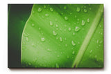 Sinus Art Wandbild 120x80cm Frisches grünes Blatt mit Wassertropfen – Symbol für Reinheit und Natur