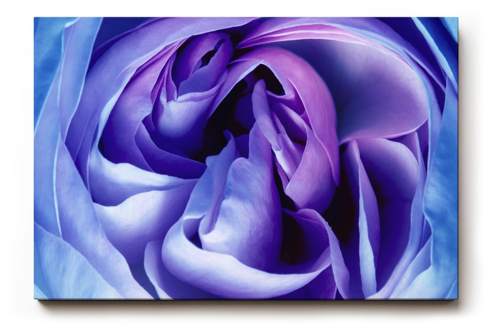 Sinus Art Wandbild 120x80cm Abstrakte Blütenstruktur in Violett- und Blautönen – sinnlich, edel und modern