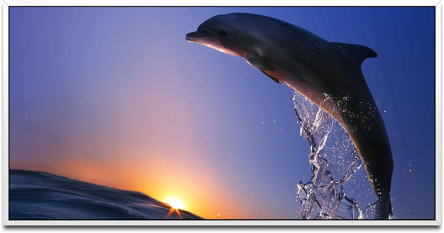 Delfin im Meer mit Wellen ca. 130x70cm Wandbild inklusive Schattenfugenrahmen weiss - Panorama Leinwand Bild XXL Format Wandbilder Wohnzimmer Wohnung Deko Kunstdrucke