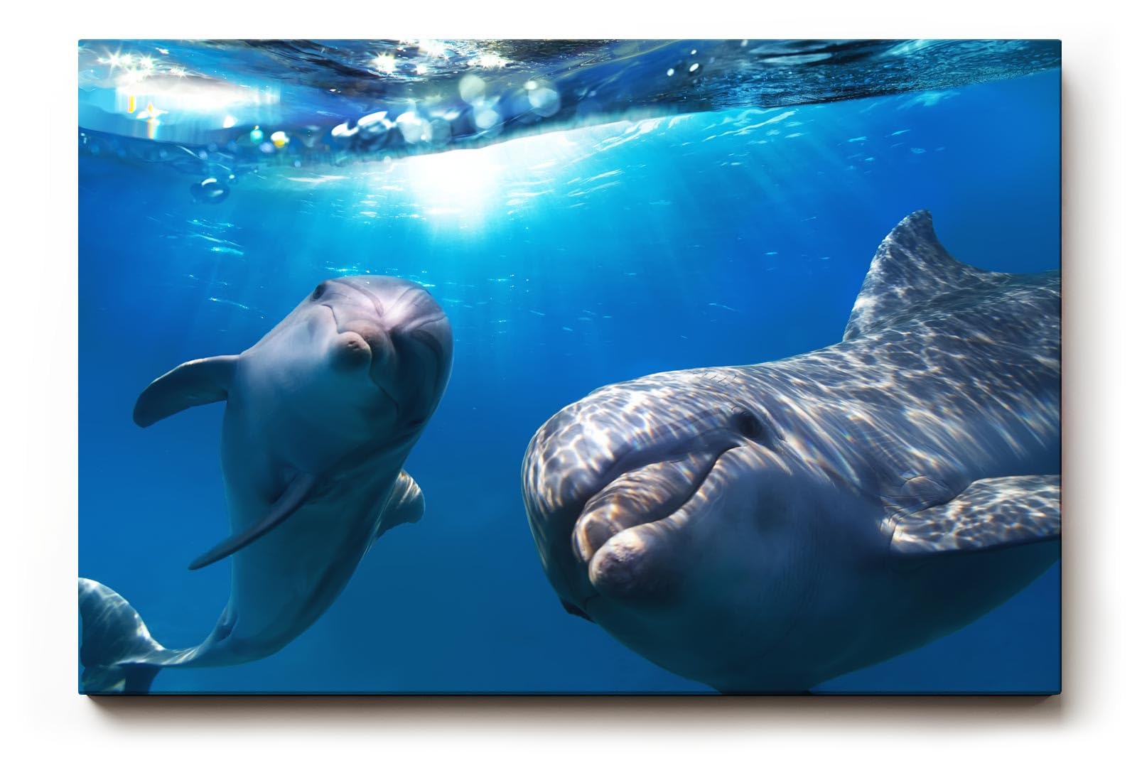 Sinus Art Wandbild 120x80cm Die Delfine wirken lebensfroh und einladend und bringen maritime Energie in jeden Raum