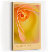 Paul Sinus Kunstdruck 40x60cm Golden Bloom Gelbe Rose Makro Nahaufnahme Blume Sommerfarbe Detail