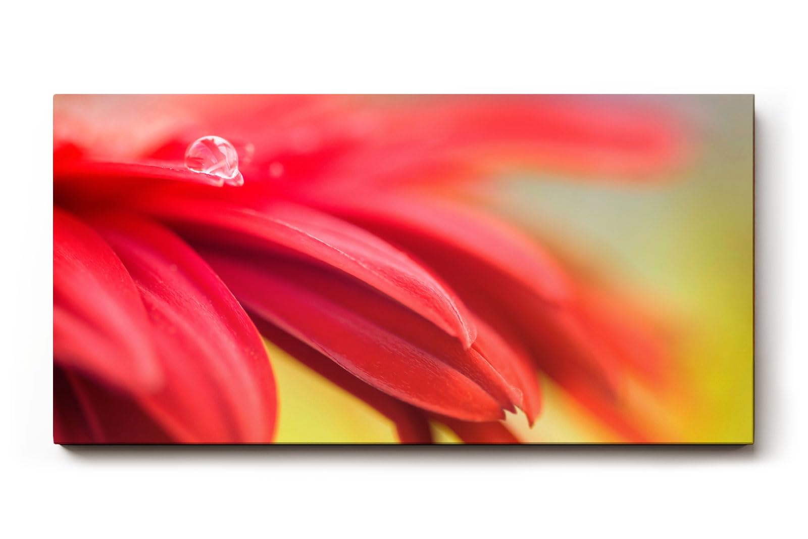Sinus Art Wandbild 120x80cm Detailreiche Nahaufnahme roter Blütenblätter mit glitzerndem Tautropfen