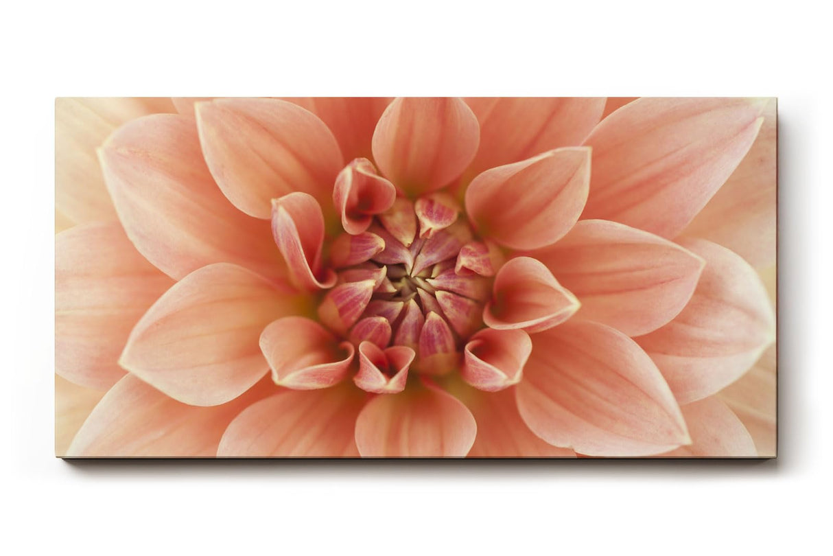 Sinus Art Wandbild 120x80cm Detailreiche Blütenstruktur in warmem Rosé für romantisch inspirierte Raumgestaltung