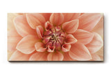 Sinus Art Wandbild 120x80cm Detailreiche Blütenstruktur in warmem Rosé für romantisch inspirierte Raumgestaltung