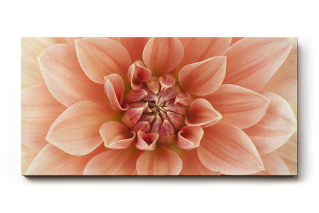 Sinus Art Wandbild 120x80cm Detailreiche Blütenstruktur in warmem Rosé für romantisch inspirierte Raumgestaltung