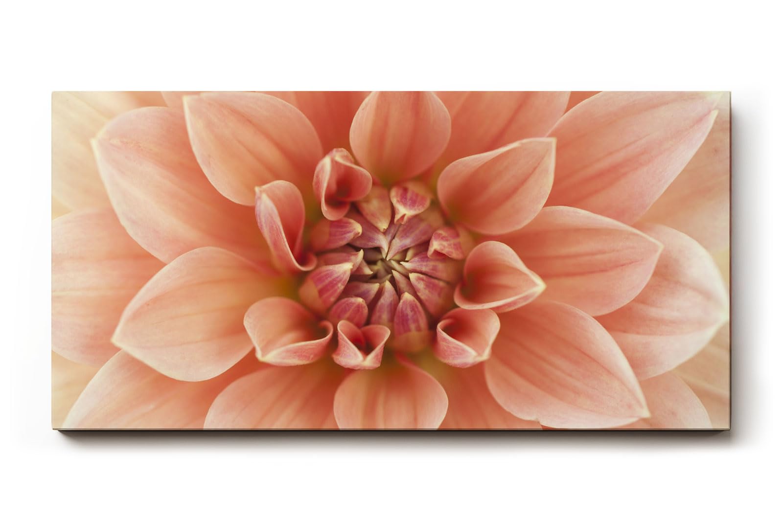 Sinus Art Wandbild 120x80cm Detailreiche Blütenstruktur in warmem Rosé für romantisch inspirierte Raumgestaltung