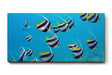 Sinus Art Wandbild 120x80cm Schwarm eleganter Bannerfische in natürlicher Bewegung – faszinierendes Meeresmotiv
