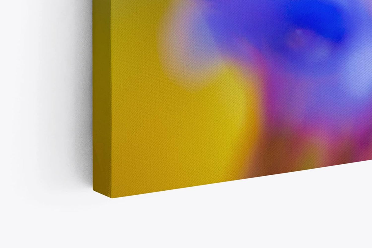Paul Sinus Wandbild 120x80cm Blume Blüte Orchidee Nahaufnahme Makrofotografie