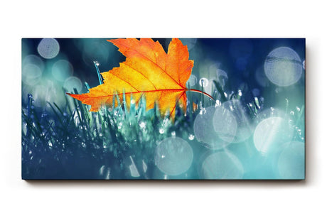 Sinus Art Wandbild 120x80cm Einzelnes orangefarbenes Ahornblatt im feuchten Gras mit Tautropfen und Lichtpunkten