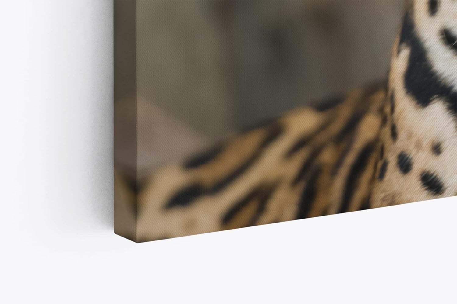 Paul Sinus Wandbild 120x80cm Jaguar Raubkatze Katze Tierfotografie Großkatze