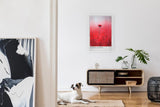 Paul Sinus Leinwandbild 60x90cm Stand Alone – Blume, Natur, Rot, Leidenschaft, Einsamkeit, Schönheit, Minimalismus, Kunst, Fotografie, Eleganz