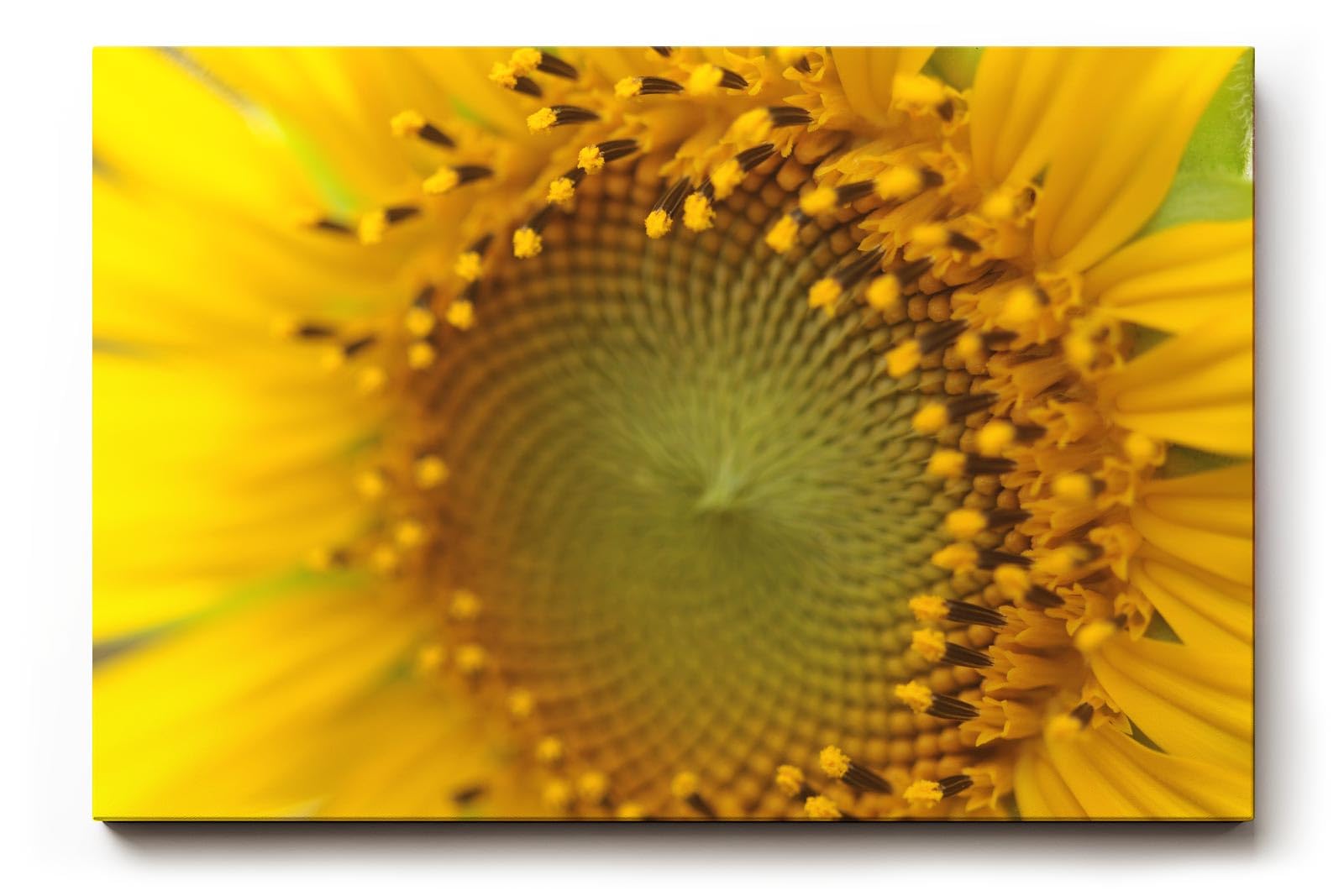 Sinus Art Wandbild 120x80cm Atemberaubendes Makromotiv einer Sonnenblume – intensiv, lebendig und ausdrucksstark