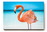 Sinus Art Wandbild 120x80cm Exotisches Flamingo-Motiv sorgt für tropisches Flair und Sommerstimmung im Raum