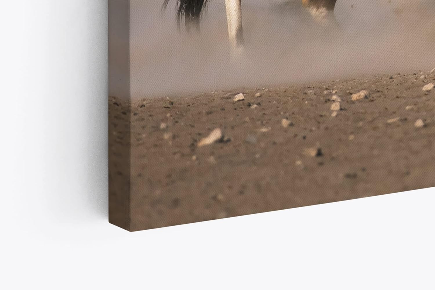 Paul Sinus Wandbild 120x80cm Spießbock Antilope Afrika Wildnis Hörner Tierfotografie