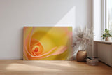 Sinus Art Wandbild 120x80cm Makroperspektive einer gelben Rose – Symbol für Freude, Wärme und Sanftheit