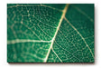 Sinus Art Wandbild 120x80cm Makroaufnahme eines grünen Blattes mit klarer Aderstruktur – faszinierend natürlich