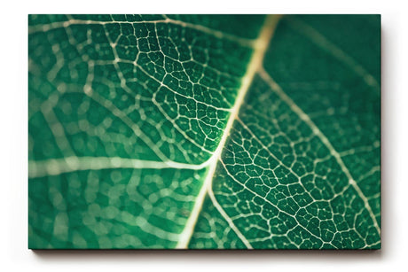 Sinus Art Wandbild 120x80cm Makroaufnahme eines grünen Blattes mit klarer Aderstruktur – faszinierend natürlich
