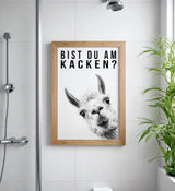 Paul Sinus Poster/Leinwandbild/Rahmenoption Lustiges Lamabild – Witzige Klo-Deko fürs Gäste-WC – Perfekt für Humorvolle