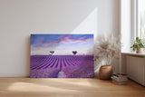 Sinus Art Wandbild 120x80cm Perfekt ausgerichtete Lavendelreihen unter farbigem Himmel für meditative Raumwirkung