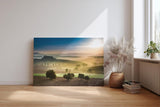 Sinus Art Wandbild 120x80cm Sanfte Hügel mit Olivenbäumen und Zypressen im Dunst des Sonnenaufgangs