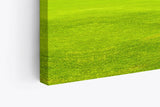 Paul Sinus Wandbild 120x80cm Grüne Wiese Bäume Natur Landschaft Sommer