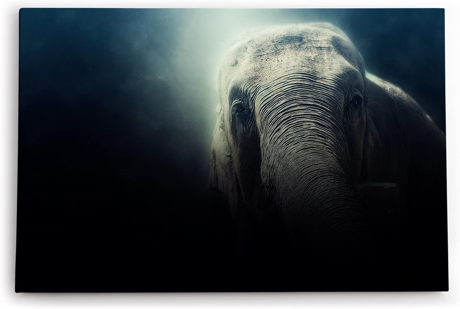 Paul Sinus Wandbild 120x80cm Elefant Tierfotografie Dunkel Fotokunst Kunstvoll