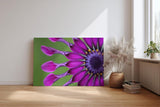 Sinus Art Wandbild 120x80cm Ausdrucksstarkes Blütendesign mit einzigartiger Form und intensiver Farbgebung