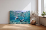 Sinus Art Wandbild 120x80cm Faszinierende Szene mit schwimmenden Seelöwen in Bewegung in türkisblauer Umgebung