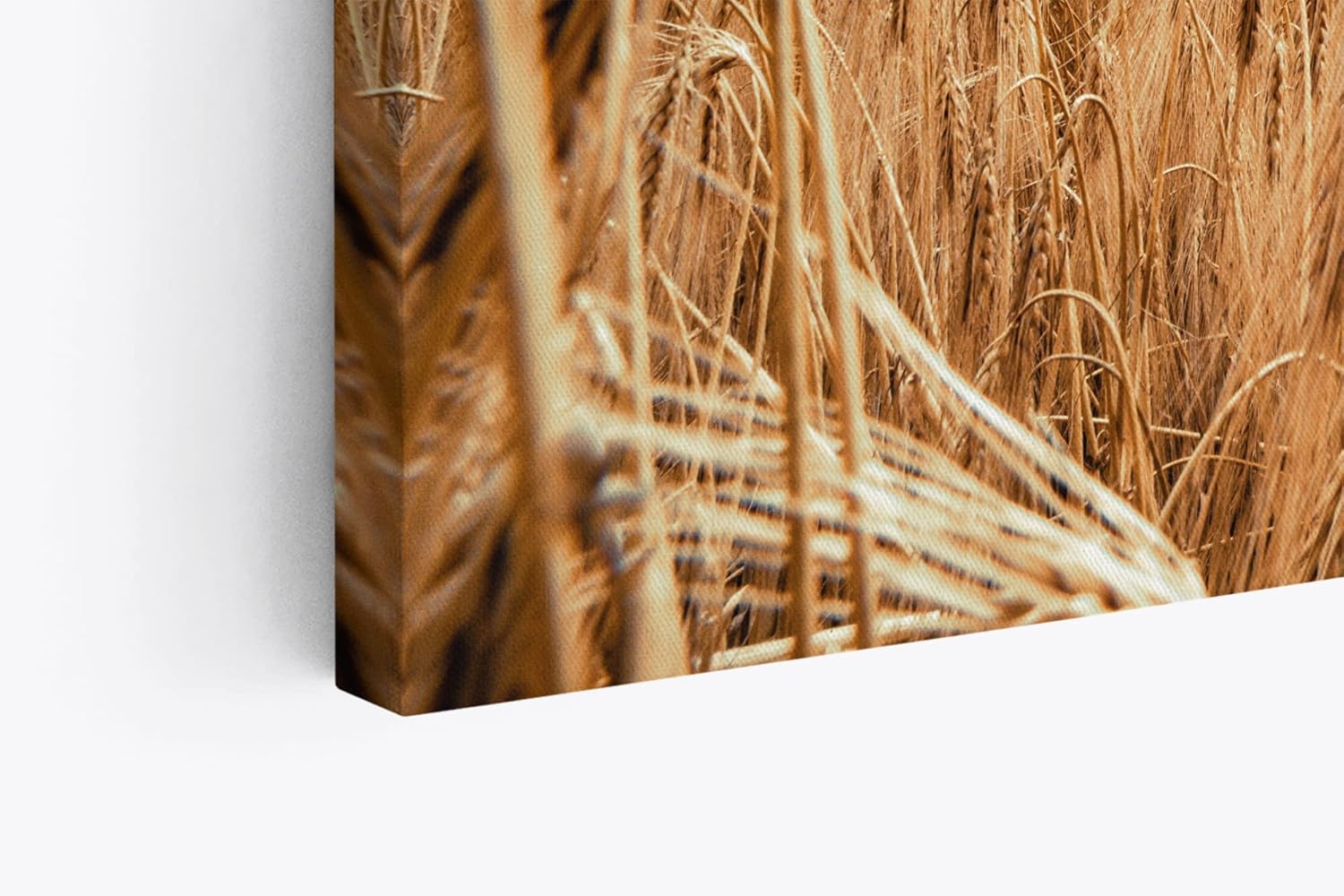 Paul Sinus Wandbild 120x80cm Weizenfeld Weizen Feld Wolken Himmel