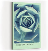 Paul Sinus Kunstdruck 40x60cm Natural Design – Sukkulente in spiralförmiger Anordnung und kühler Farbwelt
