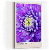 Paul Sinus Kunstdruck 40x60cm Purple Energy Blüte in Violett und Weiß Every Petal Charged with Color