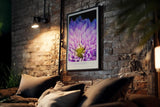 Paul Sinus Kunstdruck 40x60cm Lavender Heart Nahaufnahme violetter Blüte Where Light Meets Lush Detail