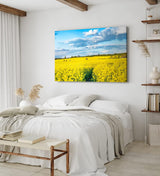 Paul Sinus Wandbild 120x80cm Rapsfeld Raps Landschaft Gelb Himmel Sommer
