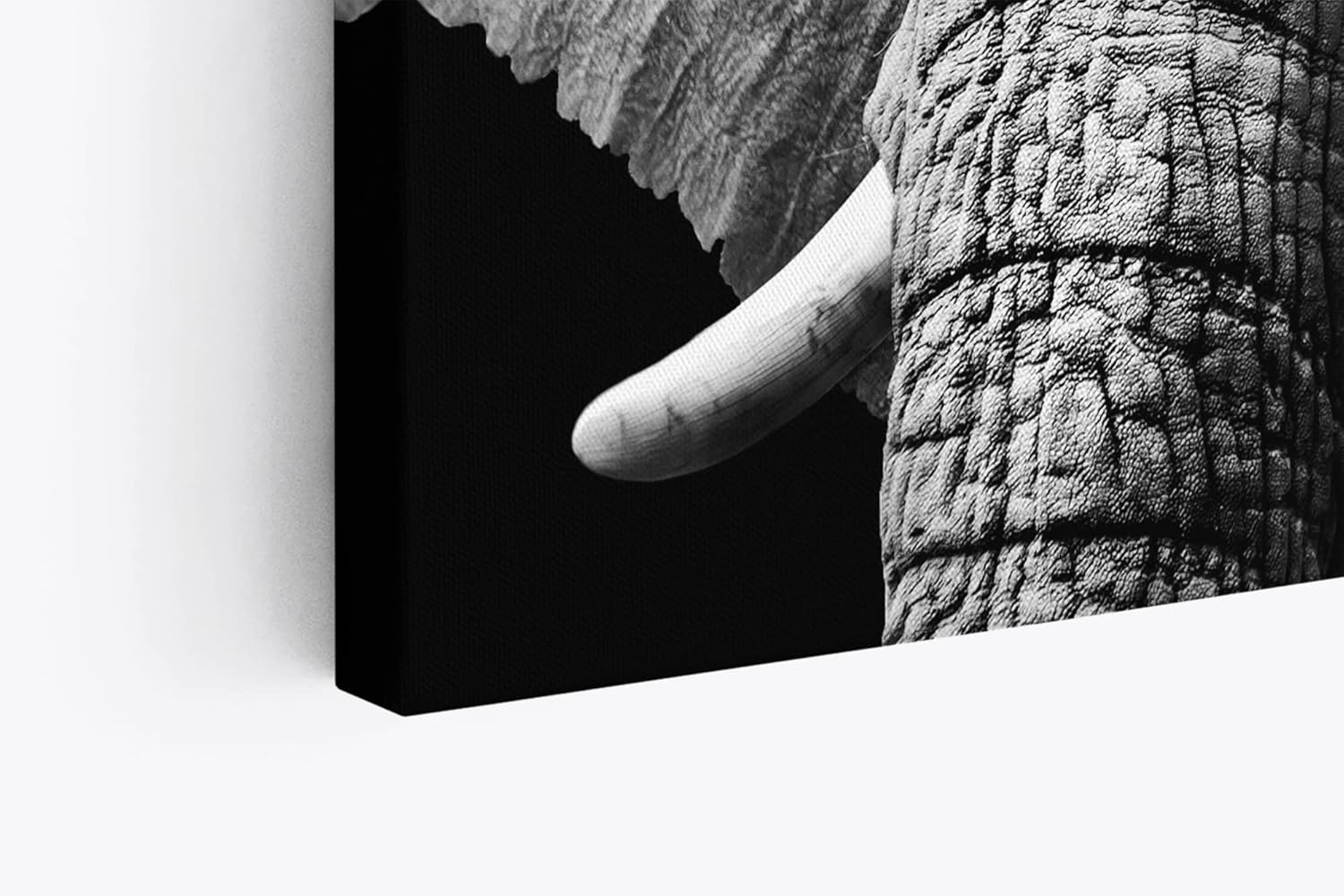 Paul Sinus Wandbild 120x80cm Elefant Stoßzähne Schwarz Weiß Tierfotografie Kunstvoll