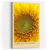 Paul Sinus Kunstdruck 40x60cm Fibonacci in Bloom Sonnenblume Makro Gelb Natur Geometrie Bruchstruktur