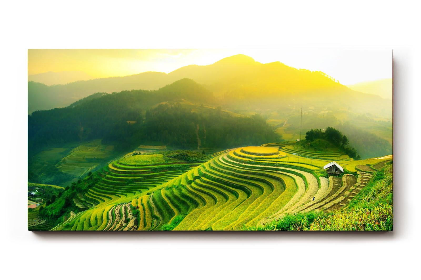 Sinus Art Wandbild 120x80cm Leuchtende Reisterrassen in der Morgensonne vor sanftem Bergpanorama