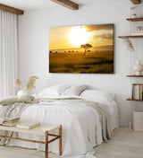 Paul Sinus Wandbild 120x80cm Afrikanische Landschaft Burkea Africana Bäume Sonnenuntergang