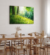 Paul Sinus Wandbild 120x80cm Wald Bäume Grün Pusteblumen Wiese Gras Sonnenschein