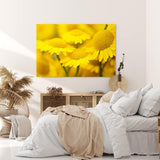 Paul Sinus Wandbild 120x80cm Gänseblümchen Blumen Blüten Gelb Nahaufnahme