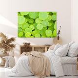 Paul Sinus Wandbild 120x80cm Lotosblätter Grün Lotus Dekorativ Pflanze Seepflanze
