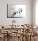 Paul Sinus Wandbild 120x80cm Weißes Pferd Wildpferd Schwarz Weiß Fotokunst