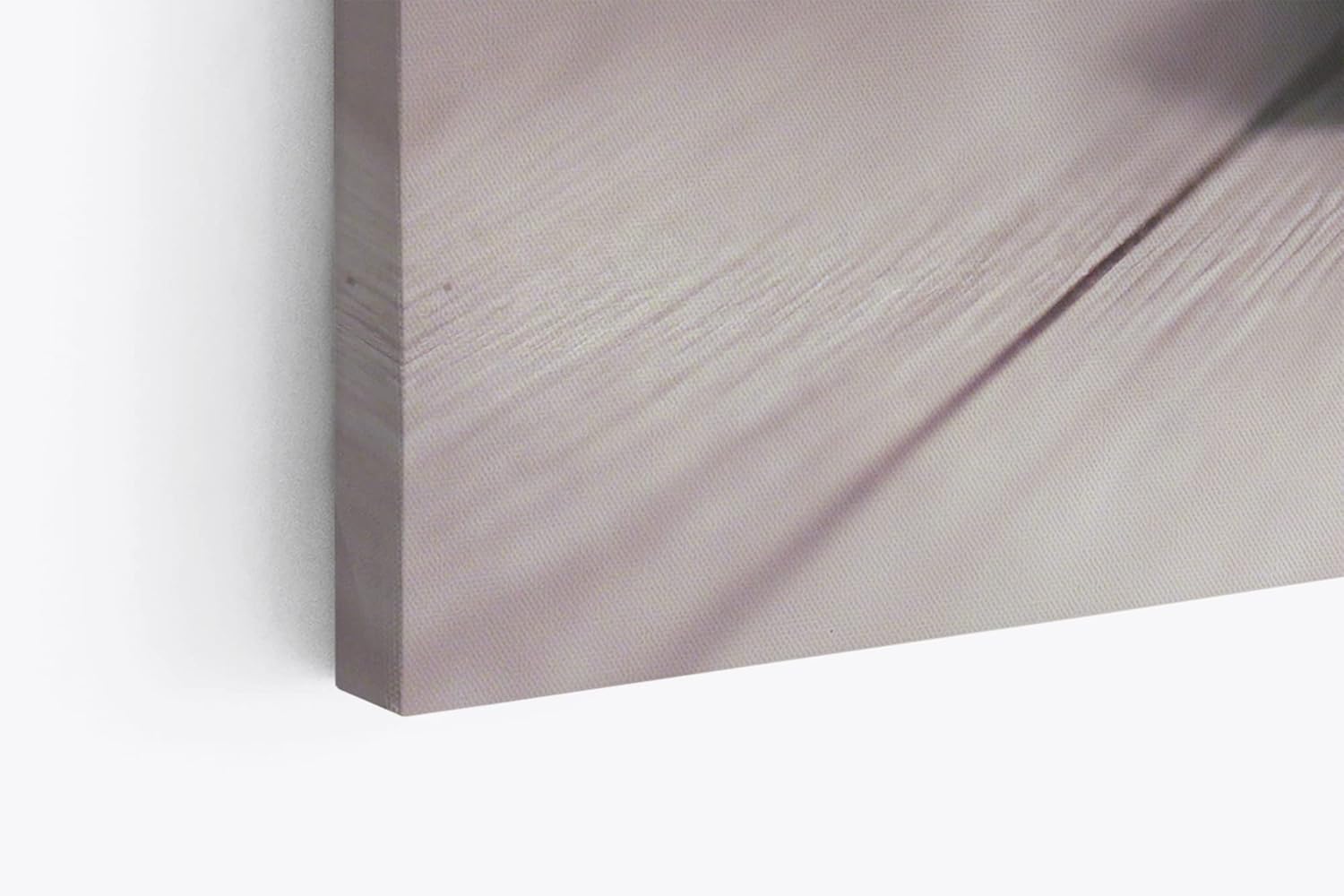 Paul Sinus Wandbild 120x80cm Katze Kätzchen Kater Katzenbaby Britisch Kurzhaar