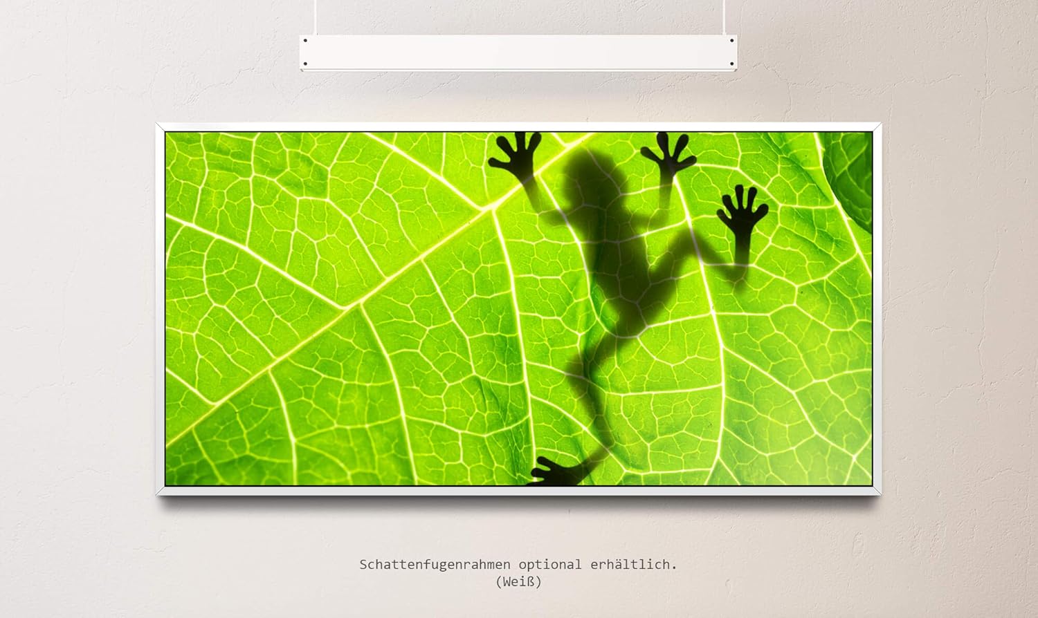 Frosch hinter einem Blatt ca. 130x70cm Wandbild inklusive Schattenfugenrahmen weiss - Panorama Leinwand Bild XXL Format Wandbilder Wohnzimmer Wohnung Deko Kunstdrucke